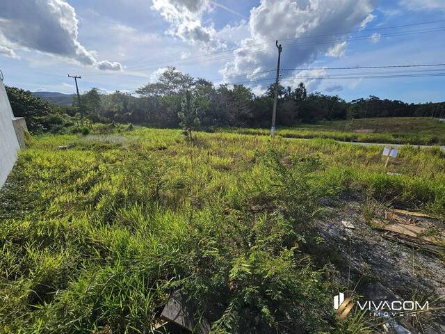 Área para Venda em São José - 5