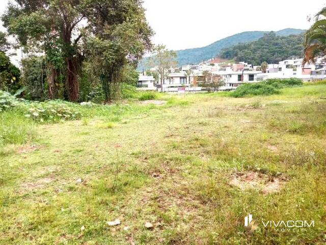 Área para Venda em Palhoça - 5