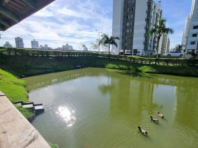 Apartamento para Venda em Palhoça - 3