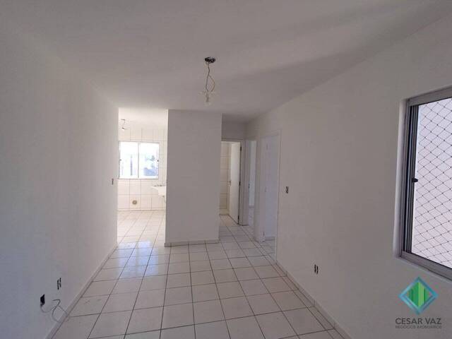 Apartamento para Venda em Palhoça - 3